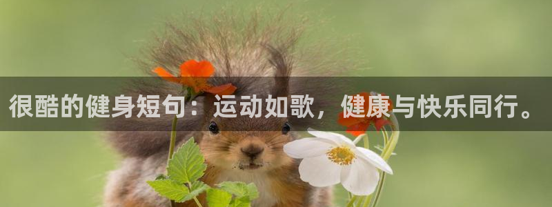 凯捷体育官网
