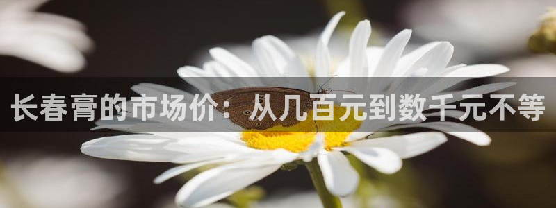 凯捷体育娱乐