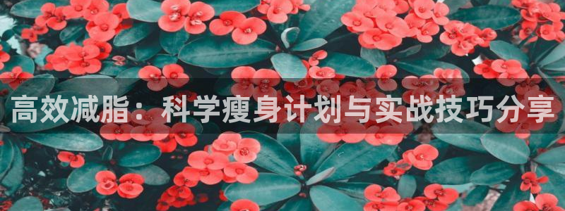 凯捷体育官网