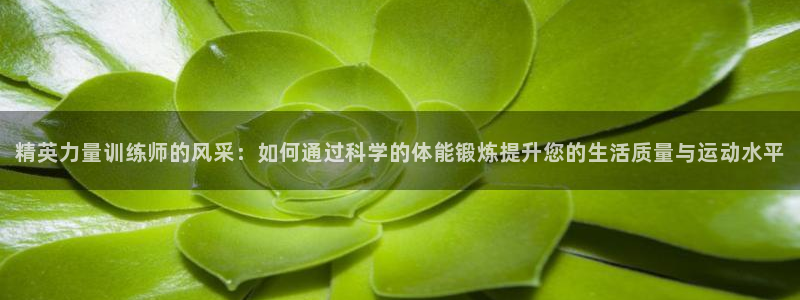 凯捷体育平台