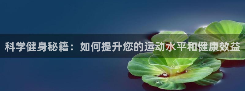 凯捷体育平台