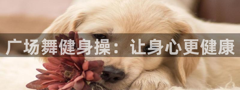 凯捷体育招商